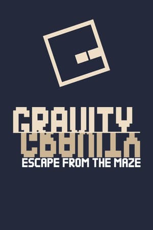 Jaquette de Gravity Escape From The Maze