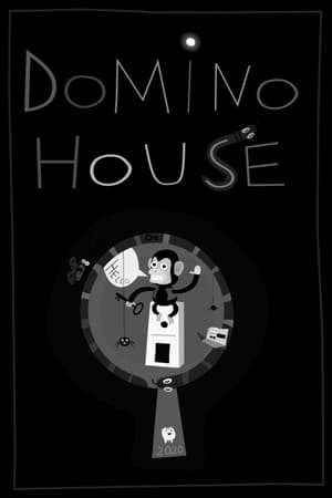 Jaquette de Domino House