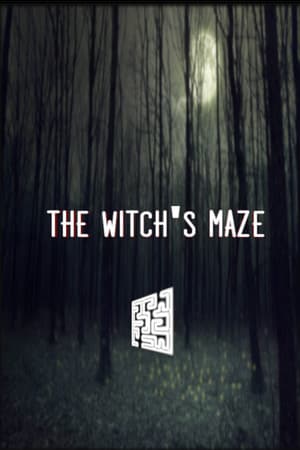 Jaquette de The Witch's Maze