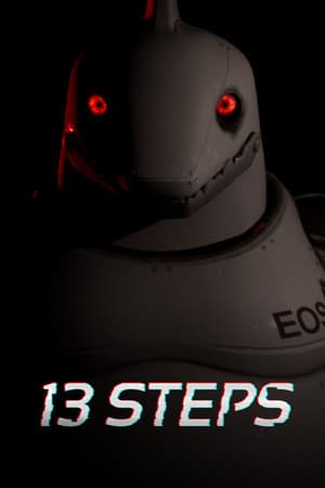 Jaquette de 13 Steps