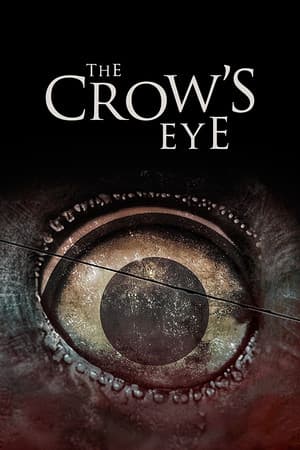 Jaquette de The Crow's Eye