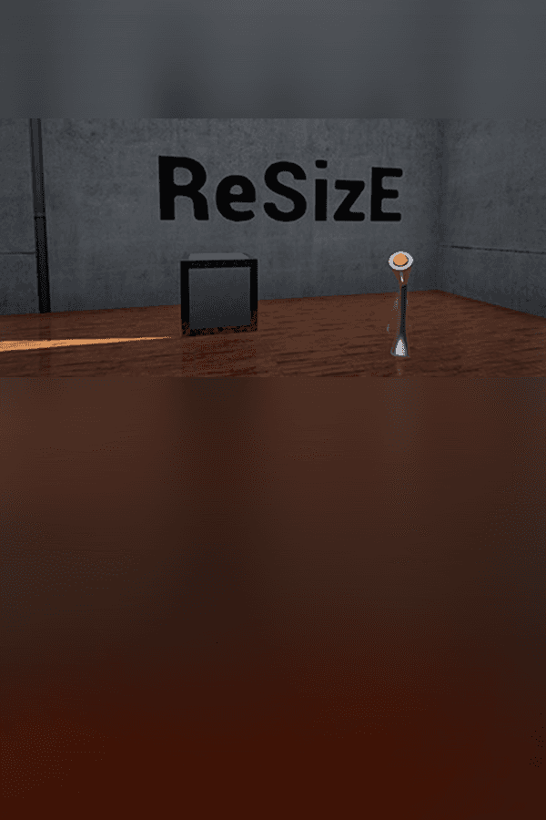 Jaquette de ReSizE