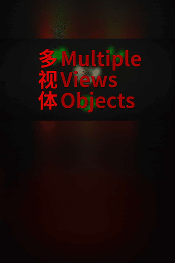 Jaquette de Multiple Views Objects 多视体