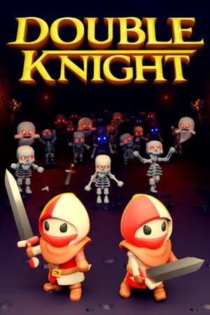 Jaquette de Double Knight